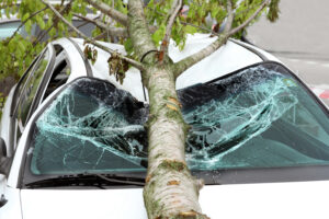 Oscar Fierro, 40, killed in a single-vehicle crash in Acton.