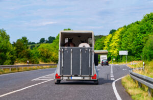 One killed in series of collision involving a horse trailer and a loose horse in Norco.